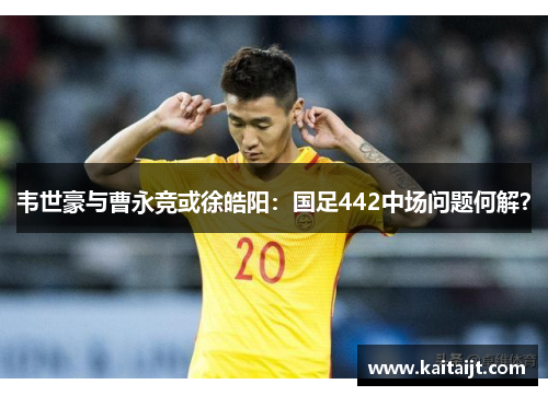 韦世豪与曹永竞或徐皓阳：国足442中场问题何解？
