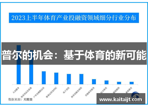 普尔的机会：基于体育的新可能